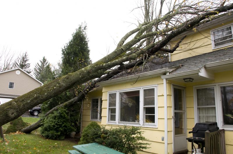 Storm Damage Mitigation in Wilmington, NC