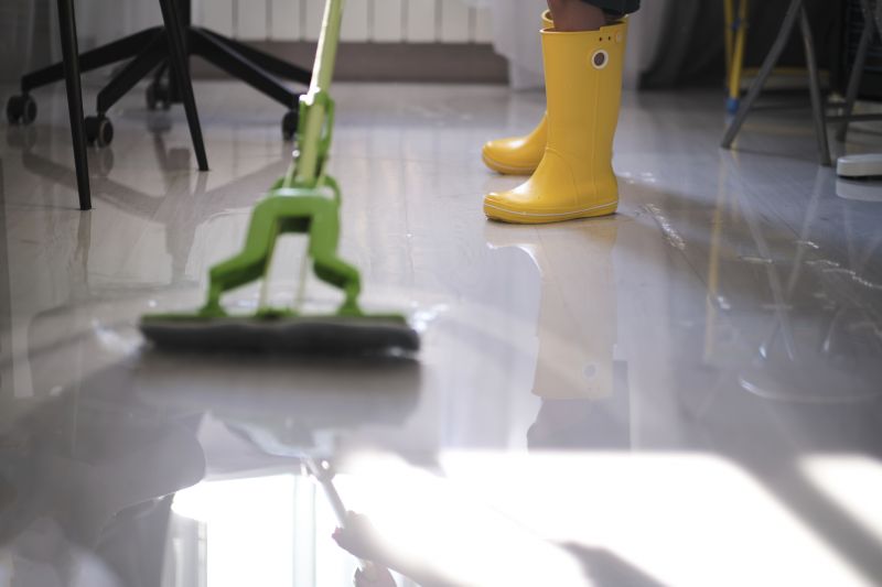 Water Removal Service in Phoenix, AZ