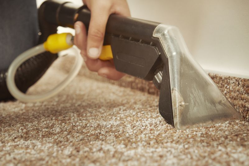 Wet Carpet Drying in Napa, CA
