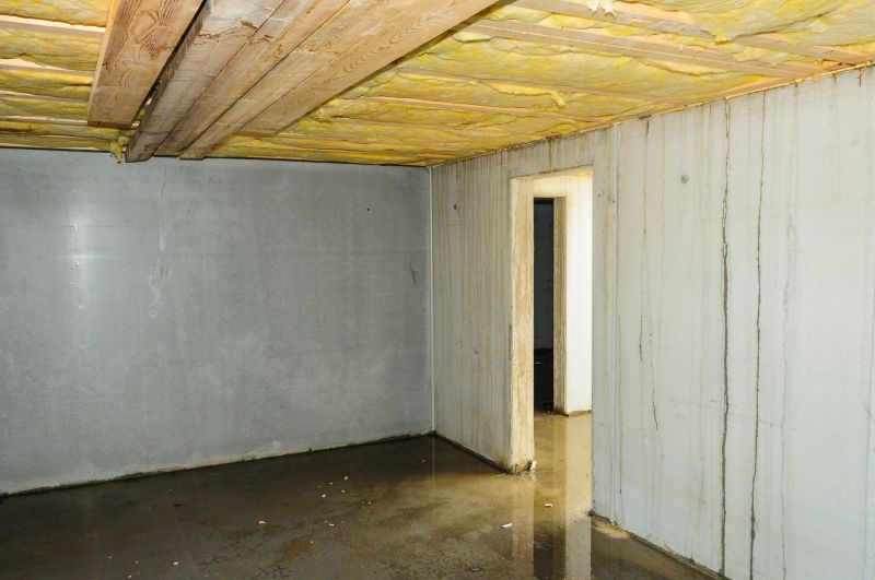 A wet basement creates the perfect environment for mold and mildew growth